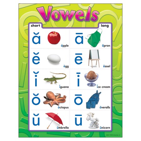 Trend Enterprises Vowels Learning Chart, 17in x 22in T38032